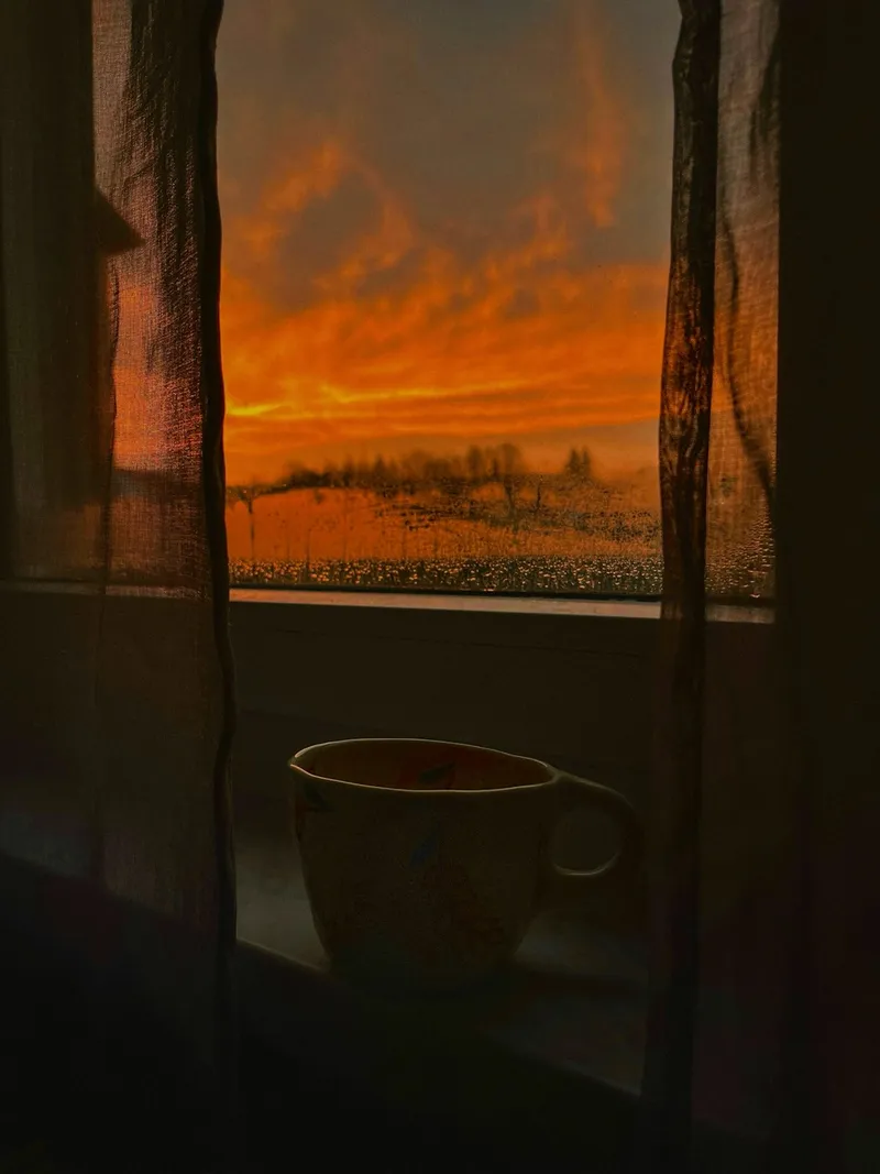 朝4時に証券口座を開く。増えてたらじっと見る。減ってたら閉じる